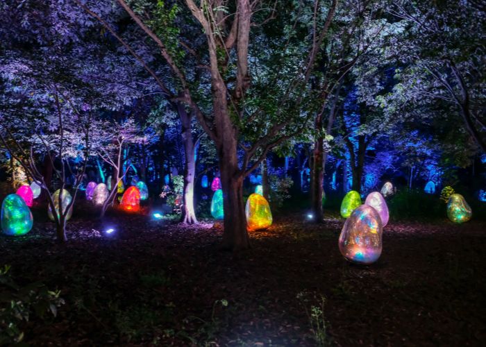 An art installation at teamLab's Botanical Garden in Osaka, lighting up trees with egg-shaped art.